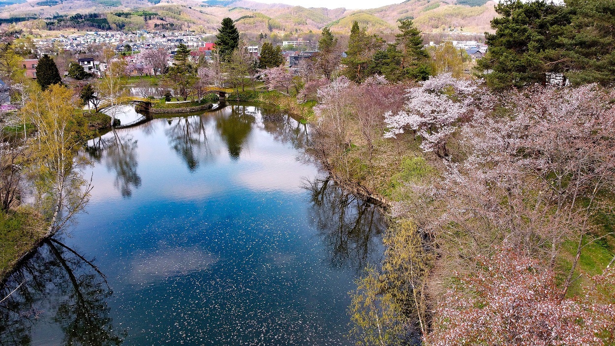 春の赤平公園写真