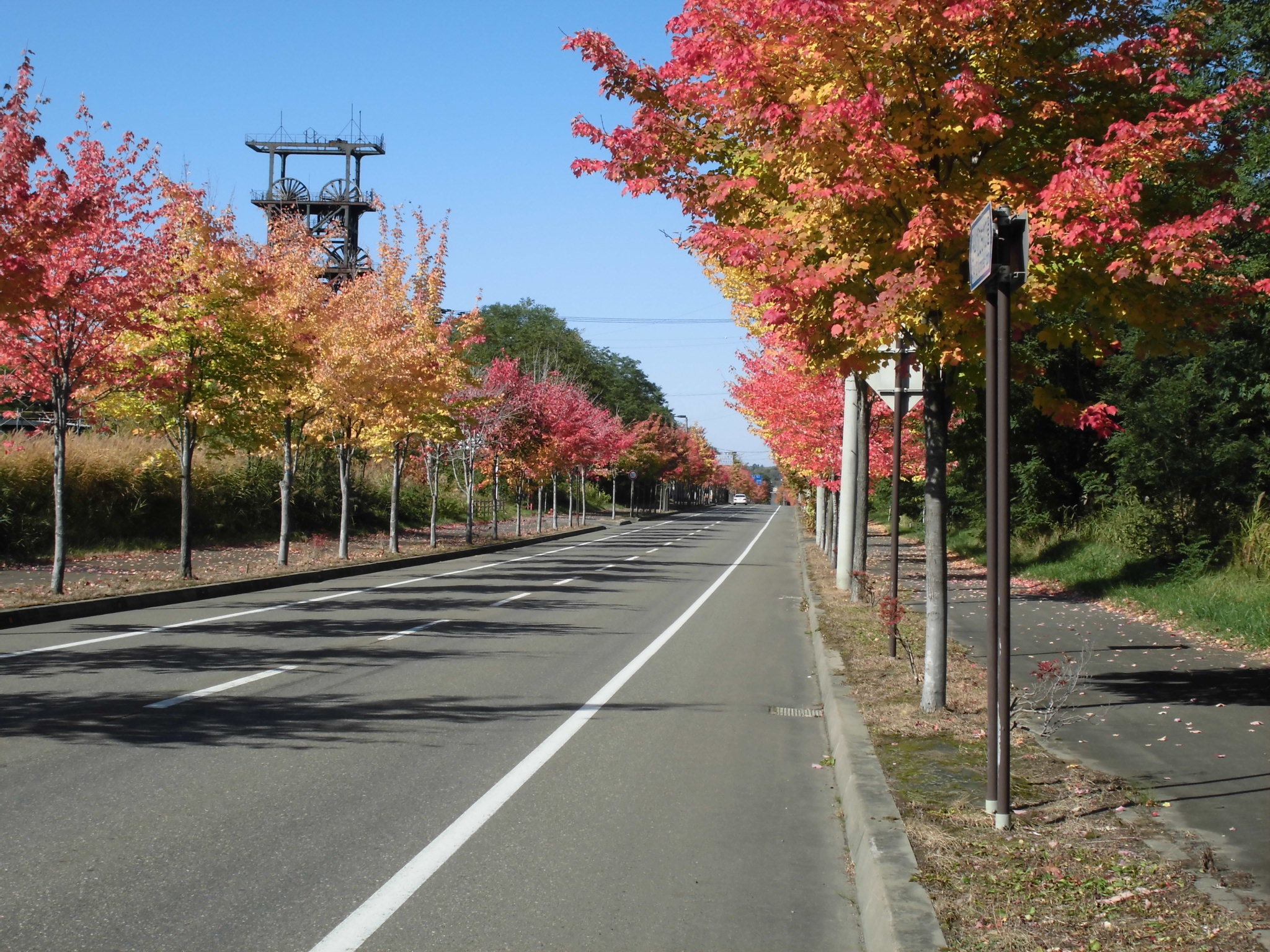 秋の市道の写真