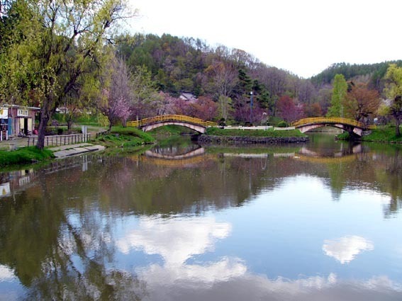 総合公園の写真