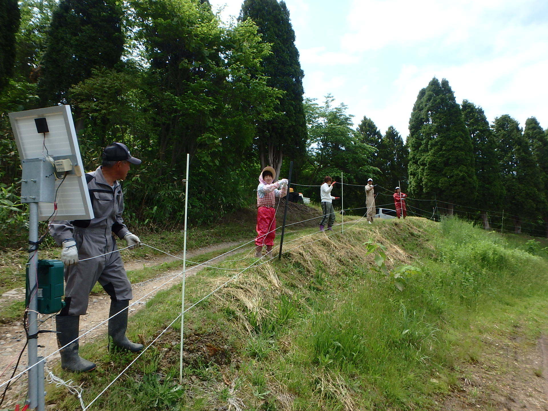 幌岡第1地区生産活動の写真