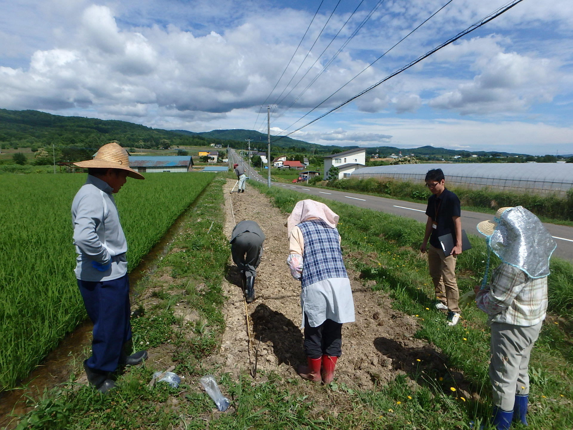 共和第1地区生産活動の写真