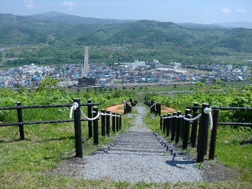 展望広場からの景色の写真