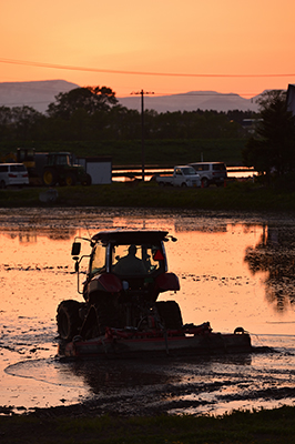 写真：「夕日とトラクター」