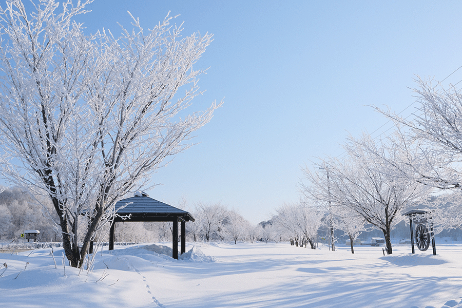 写真：水色の朝