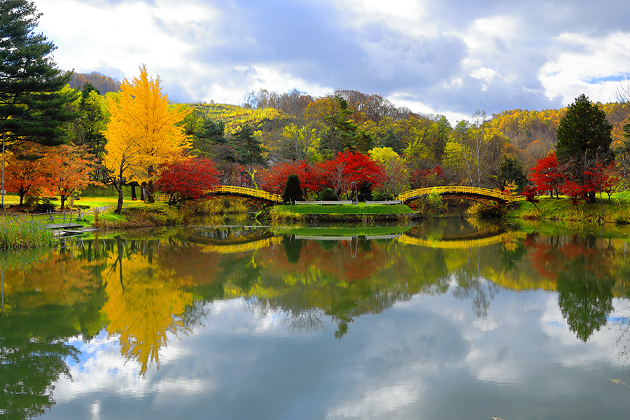 写真：「晩秋の赤平公園」
