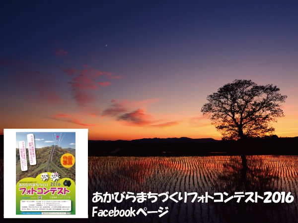 写真：カクテル